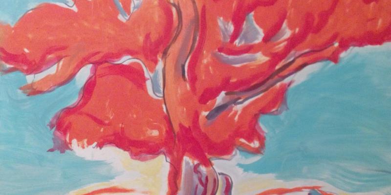 Aldo Pecoraino  " Selvagge Nature e Fuochi"