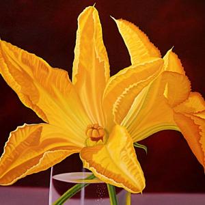 Natura:Luci e Ombre a Modena.