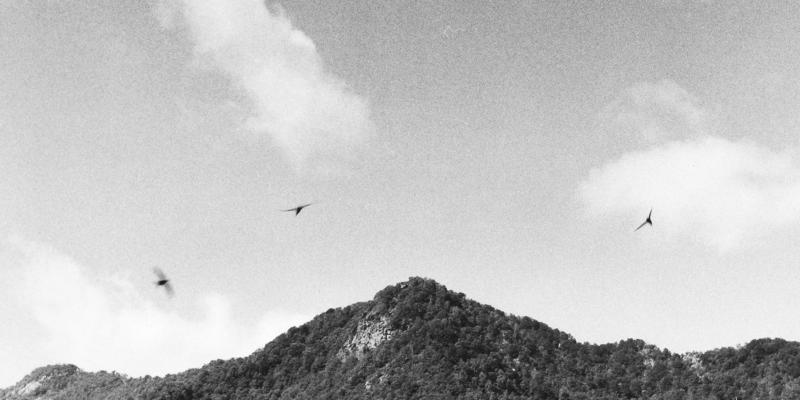 EnoArte - Gabriele Maschio photo exhibition EnoArte - Gabriele Maschio photo exhibition