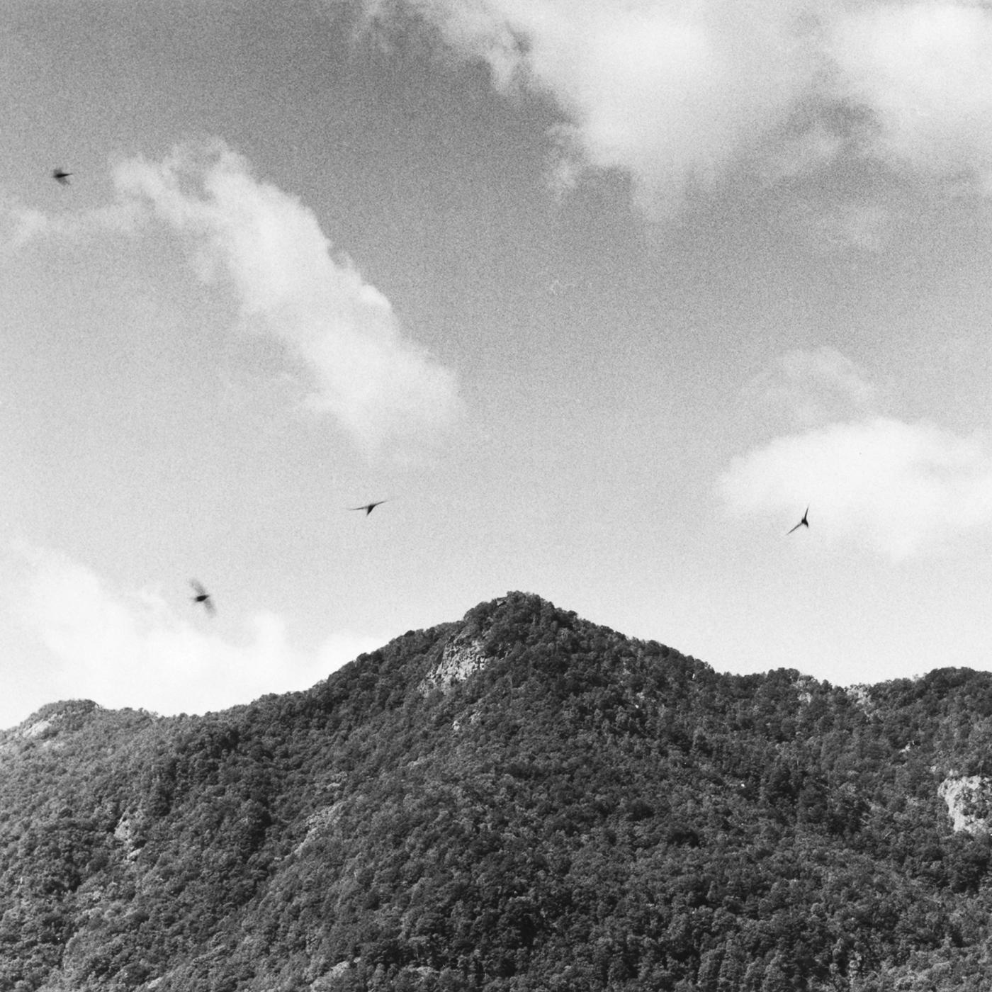 EnoArte - Gabriele Maschio photo exhibition