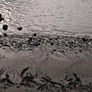 USA. Alaska 3/3. Indagine sulla materia pura