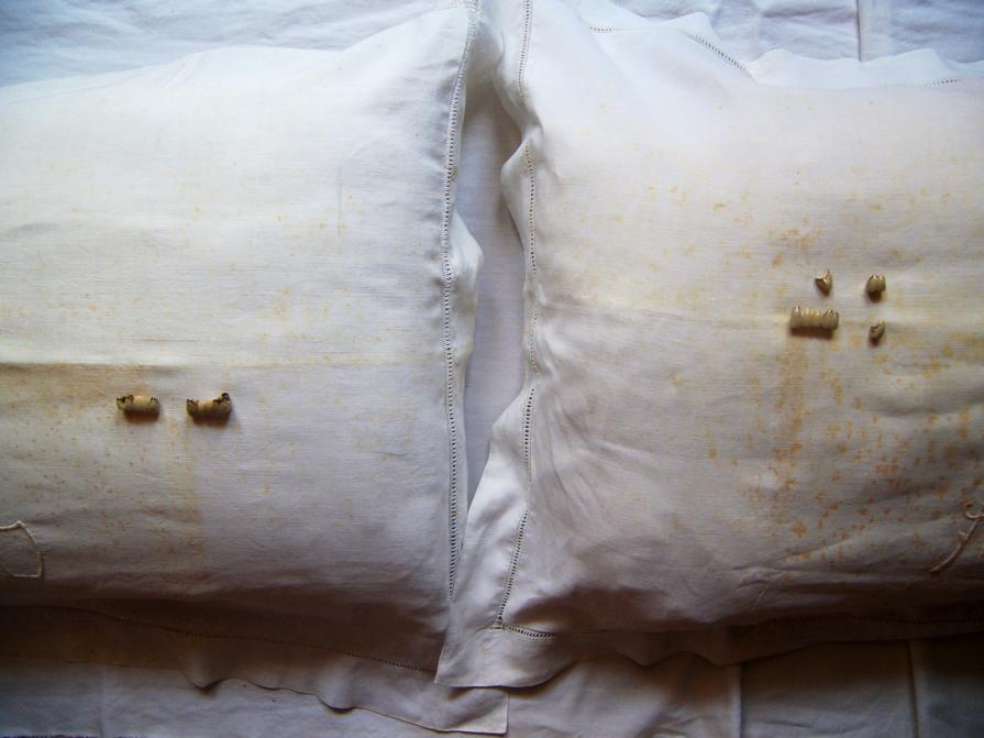 "Fra cinquant'anni (con amore)"