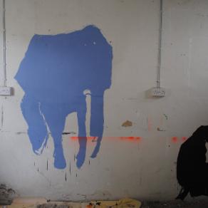 Blue horse, black baboon