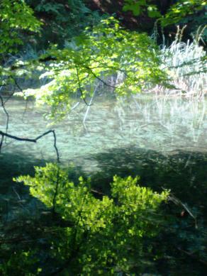 VISIONE MAGICA VISIONE MAGICA