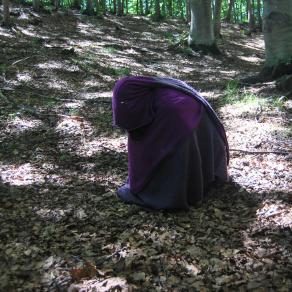 Searching Fairies...founding Pixies