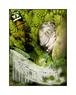 ho  capito che i bambini non nascono sotto i cavoli.