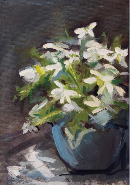 Sofia Bergman - Flowers Sofia Bergman - Flowers