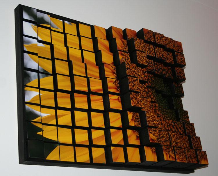 Disintegration of Sunflower Disintegration of Sunflower