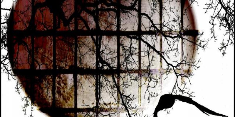 Occhio di RA Occhio di RA