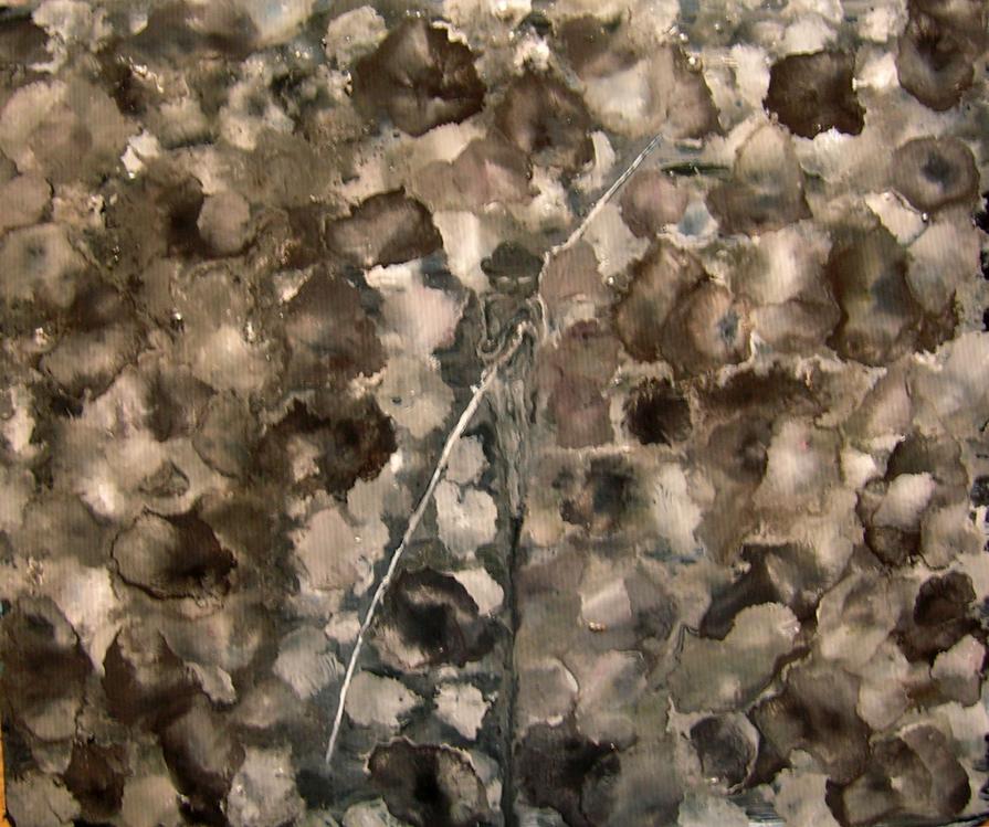 L'INSOSTENIBILE PESANTEZZA DEL VIVERE SECONDO LEGGI,MORALI,DOGMI ALTRUI IN UN CAMPO DI PAPAVERI NERI