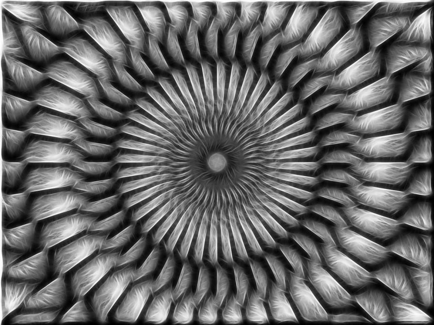 Cuore Grigio pulsante  