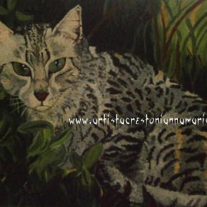 Egyptian Mau - Olio su Tela - 50 x 40 Tecnica Pennello anno 2012 