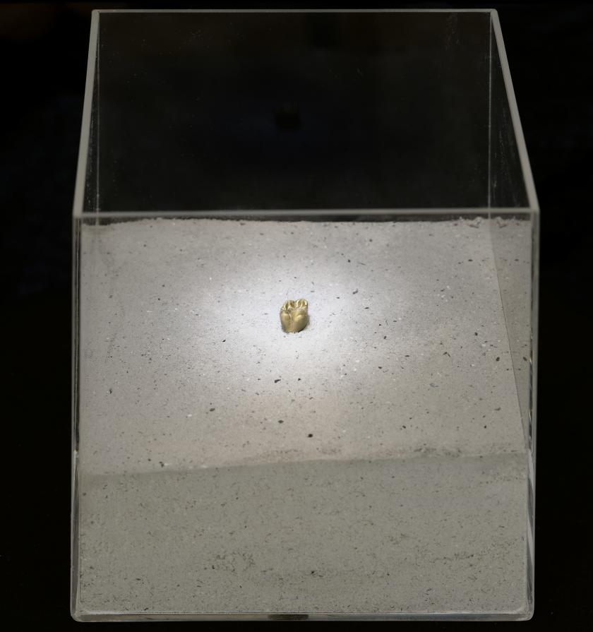 "La Banalità del Male"