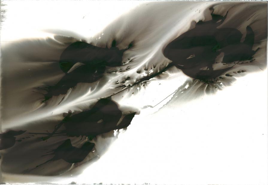 My private area of the protected landscape