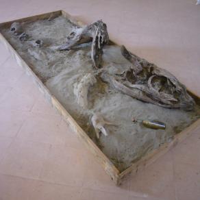 MESSAGGIO IN BOTTIGLIA