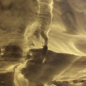 Masri (Libano) - Anatomy of nature series - mixed media on paper - 35 x 25