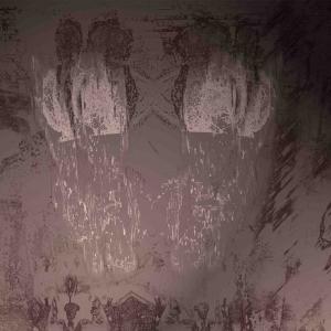 Human Shield Human Shield