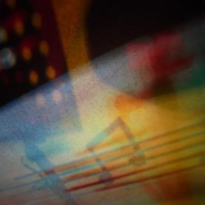 I COLORI DELLA BIODIVERSITÀ-OMAGGIO ALLA MUSICA