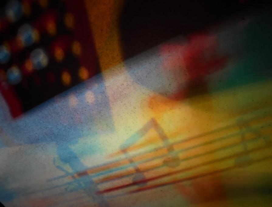 I COLORI DELLA BIODIVERSITÀ-OMAGGIO ALLA MUSICA