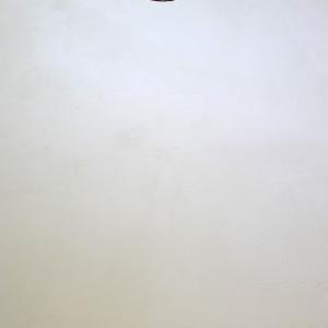 On the plausible successes and the acceptable failures of an equilibrium machine - detail