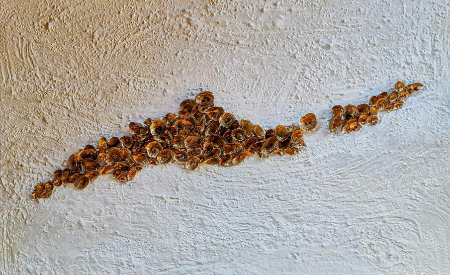 LE MIE CONSAPEVOLEZZE