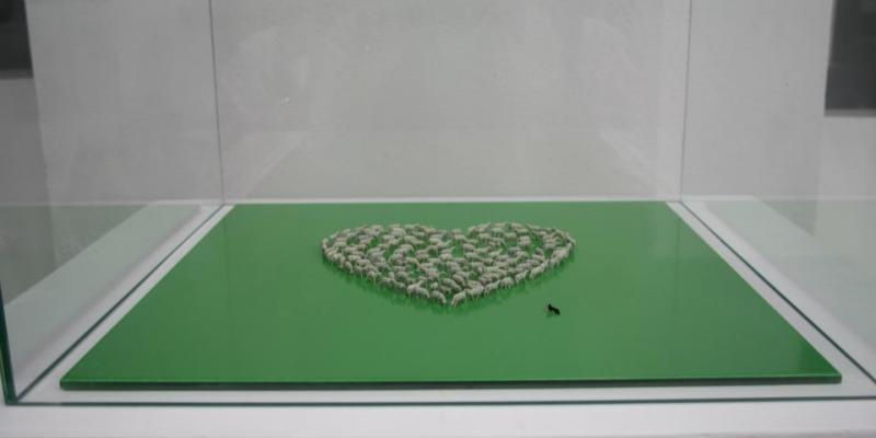 DISTOPIE | società fragile