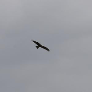 Italia. Basilicata & Campania. Abbandoni e riscoperte