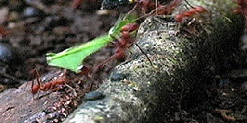 Motion of a Nation Motion of a Nation