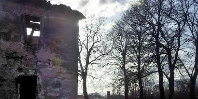 SOTTO IL CIELO D'EMILIA