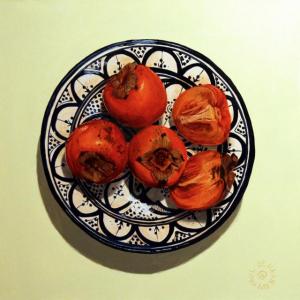 Natura:Luci e Ombre a Modena.