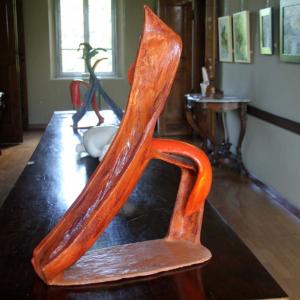 Natura:Luci e Ombre a Modena.