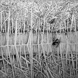 OdisSea Contemporanea Arte e Pittura al Centro Storico – Antonio Farina Solo exhibition