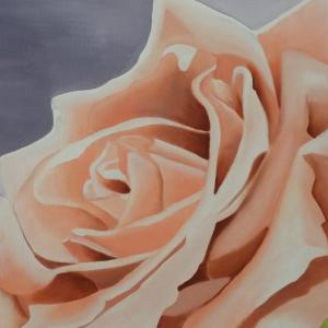 Altra Natura a Revere (mn)