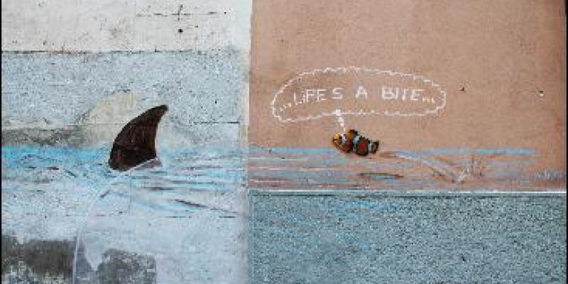 TG2 - Costume e Società - Speciale Mauro Pallotta