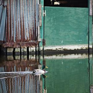 La Creatività al Femminile (Donne in Arte)