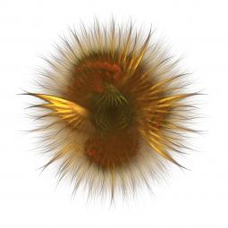 Scott Draves and the Electric Sheep