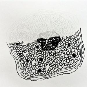 Naturacultura - Snaturati 