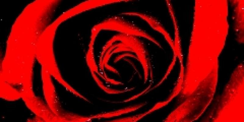 "Psychedelic Pie" and "The Last Collaboration"