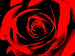 "Psychedelic Pie" and "The Last Collaboration" "Psychedelic Pie" and "The Last Collaboration"