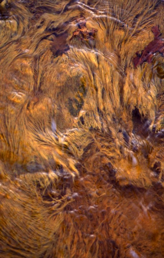 Acid mine drainage sludge Acid mine drainage sludge