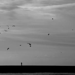 ducumantary in middel asia