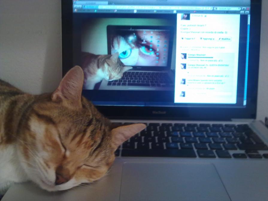 Mondo animale e mondo tecnologico a confronto