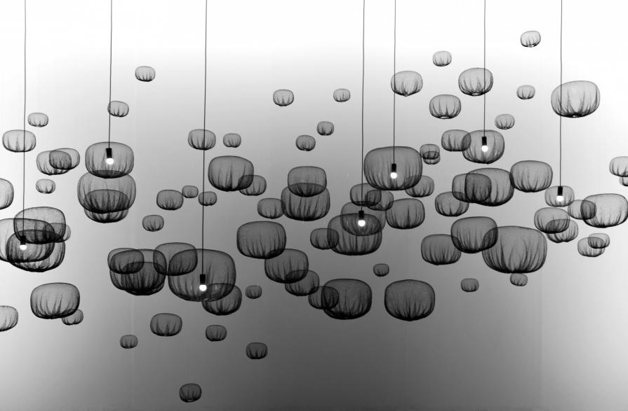 La foresta delle gabbie volanti