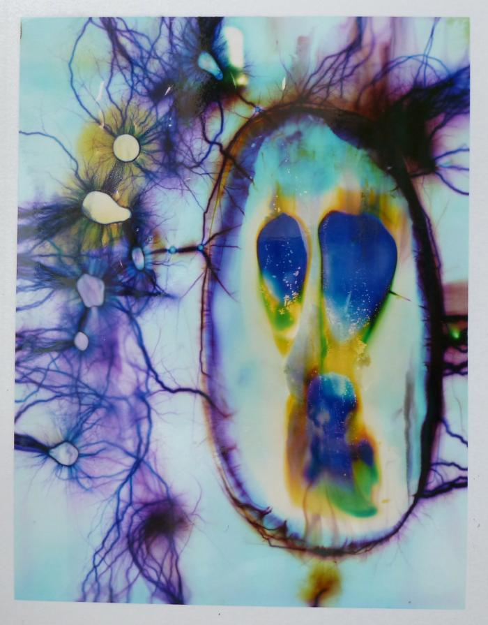 'Our souls captured in the electromagnetic field' (NO. 16) 'Our souls captured in the electromagnetic field' (NO. 16)