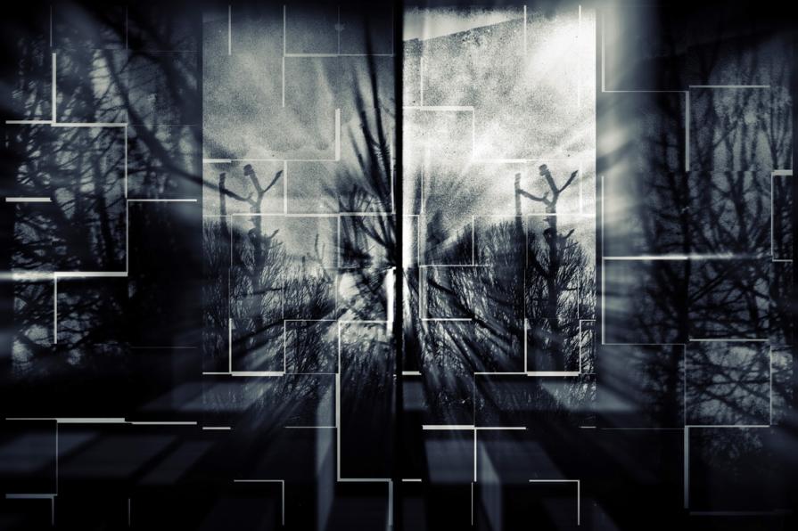 Visione frammentata di un'unica esperienza