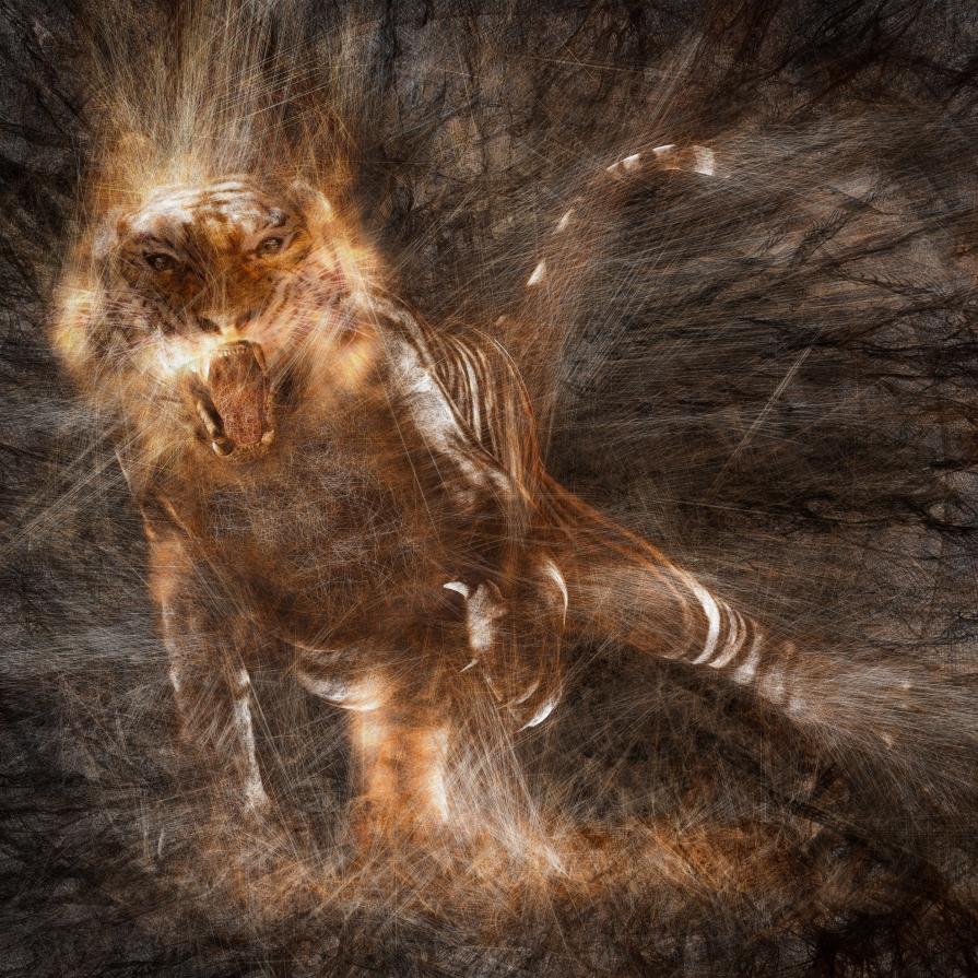 Entanglement (Tiger)