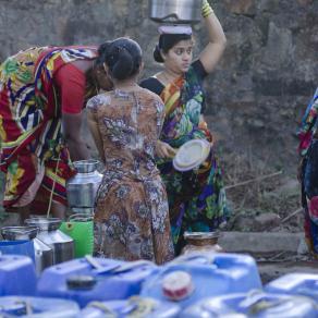 THE SKIN OF FISHERMAN'S COLONY