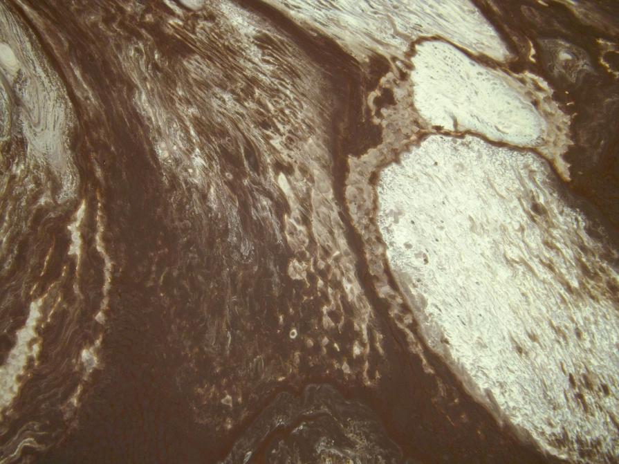 Chocolate Limes - Close Up 4