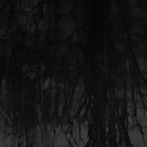 Senza titolo dalla serie 