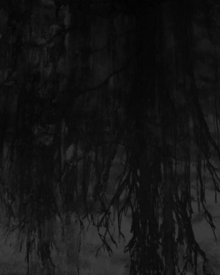 Senza titolo dalla serie 